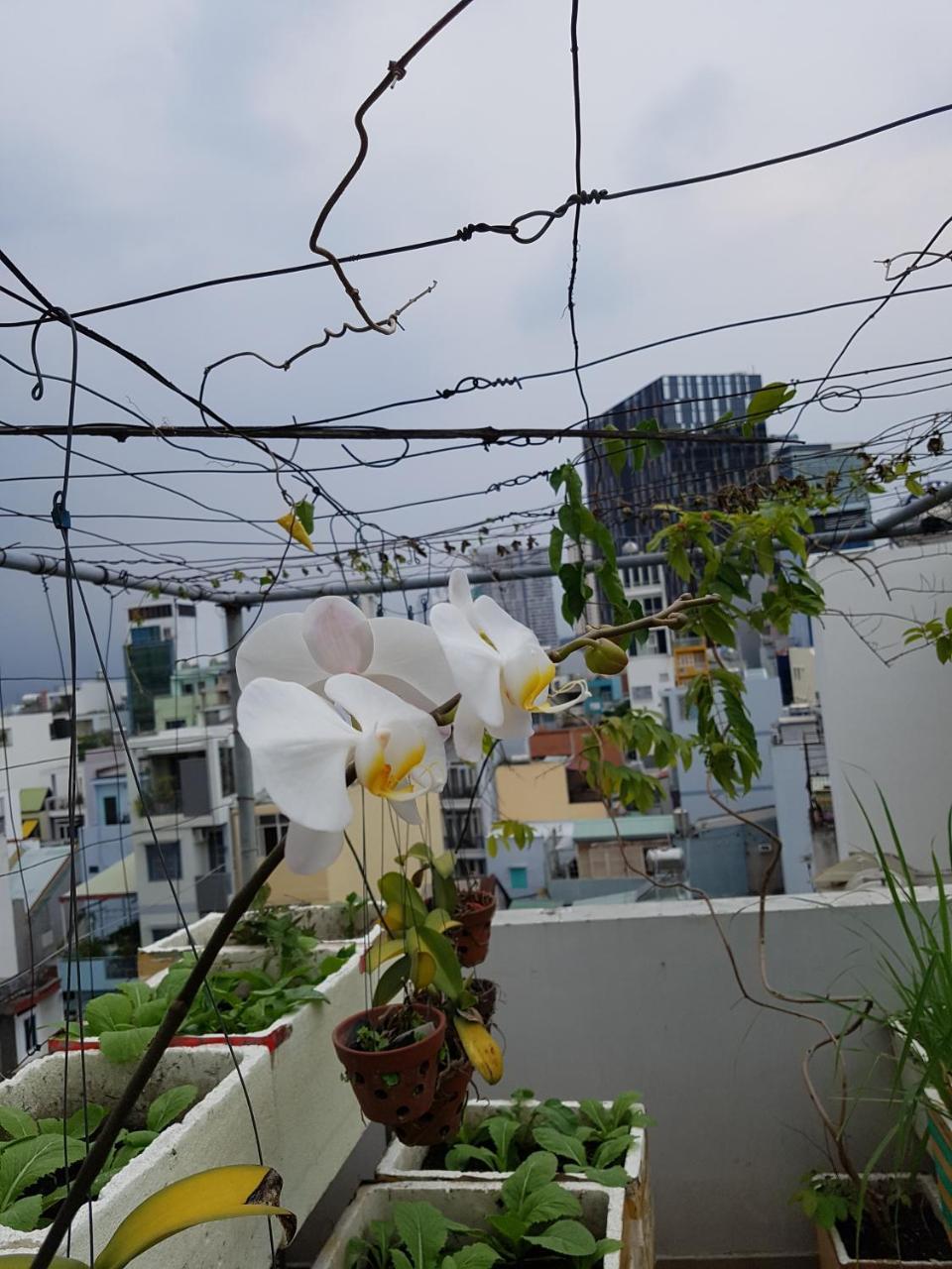 شقة Urban House Saigon 2 مدينة هوشي منه المظهر الخارجي الصورة